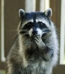 Фотография dervolkov